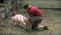dr dolittle 3-avi_420.jpg